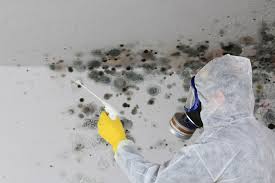 Best Industrial Mold Remediation  in Port St John, FL